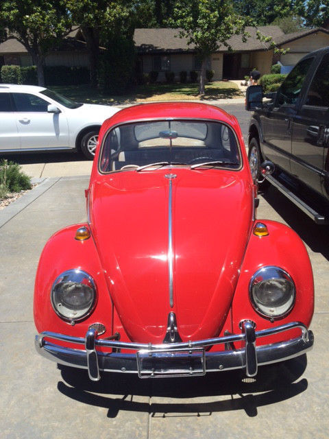 1965 Volkswagen Beetle - Classic - photo 3