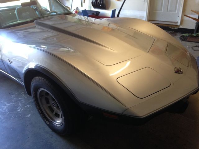 1978 Chevrolet Corvette Silver Anniversary - photo 10