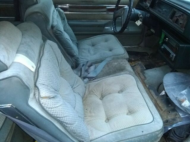 1981 Oldsmobile Cutlass - photo 11
