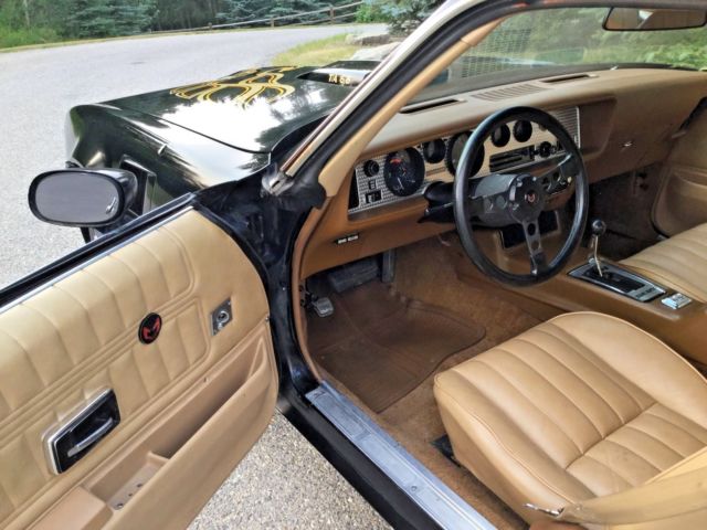 1977 Pontiac Trans Am - photo 9