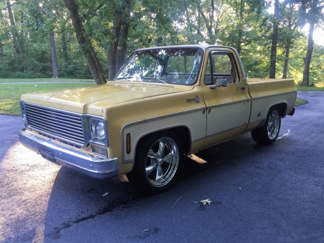1977 Chevrolet C-10 SILVERADO - photo 2