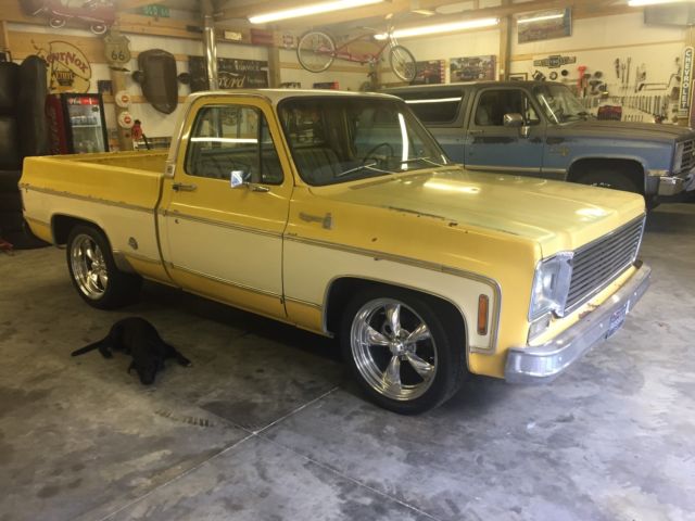 1977 Chevrolet C-10 SILVERADO - photo 7