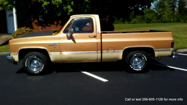 1987 Chevrolet C-10 Silverado WOW!!!! - photo 3