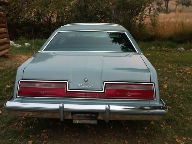 1978 Ford Other chrome - photo 2