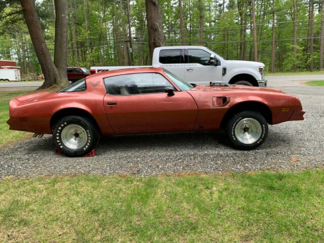 1976 Pontiac Trans Am - photo 2