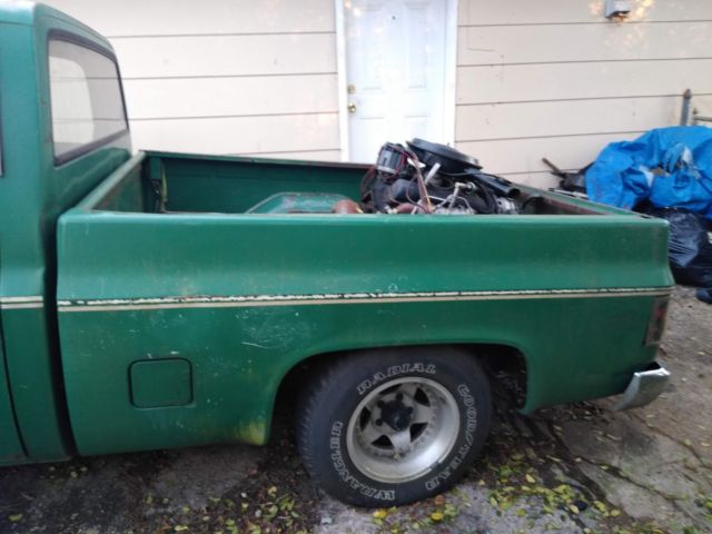 1981 Chevrolet C-10 Custom deluxe - photo 2
