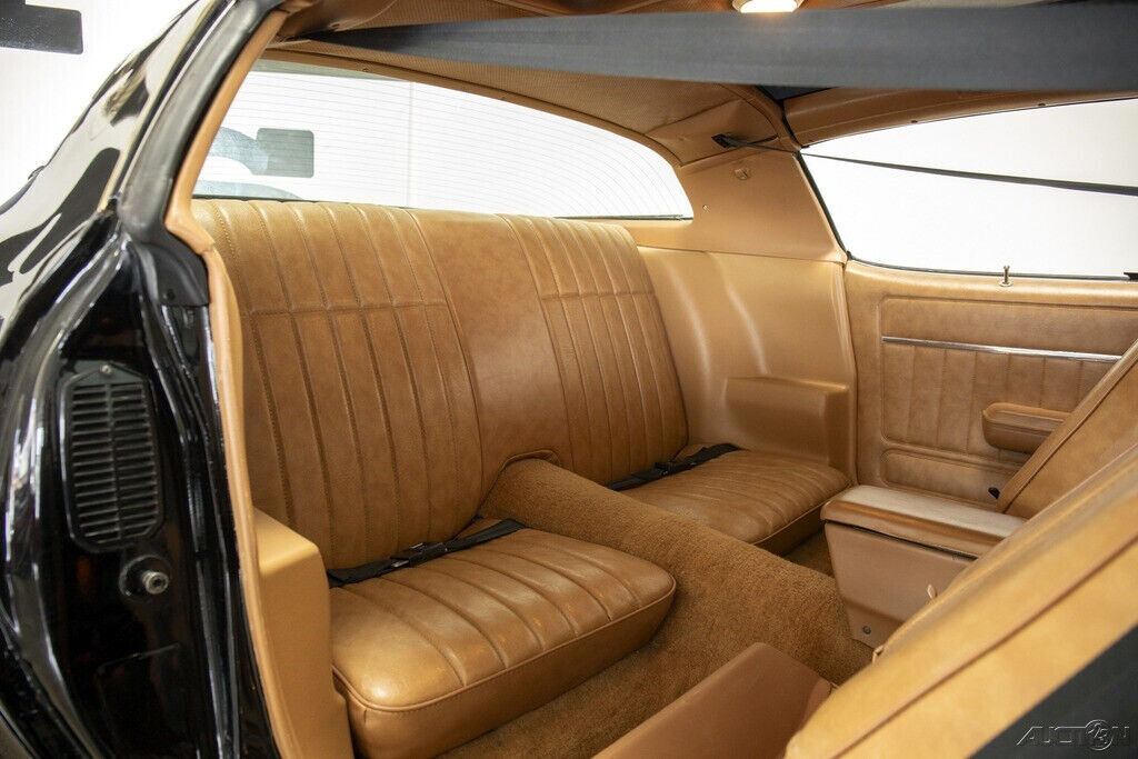 1979 Pontiac Trans Am Y84 Special Edition - photo 13
