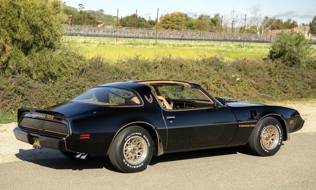 1979 Pontiac Trans Am Y84 Special Edition - photo 5