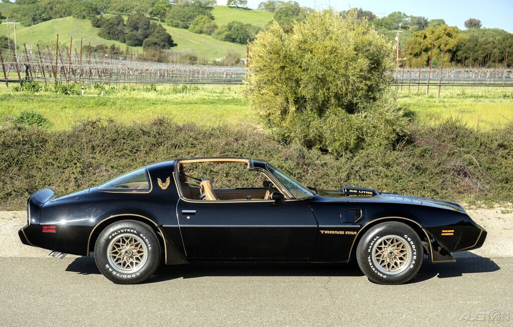 1979 Pontiac Trans Am Y84 Special Edition - photo 6