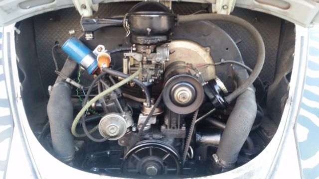 1965 Volkswagen Beetle - Classic - photo 3