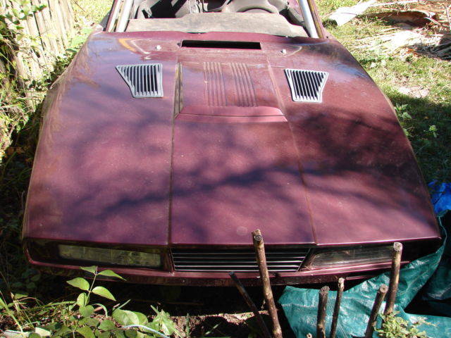 1974 Saab Sonett ROADSTER PROJECT - photo 4