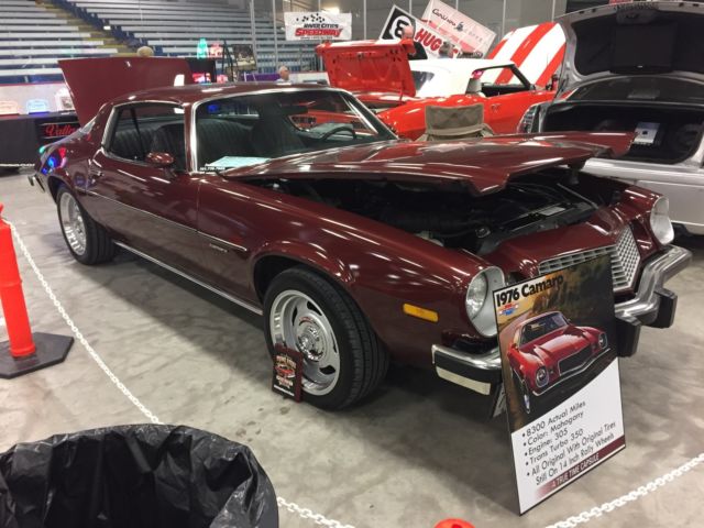 1976 Chevrolet Camaro - photo 4