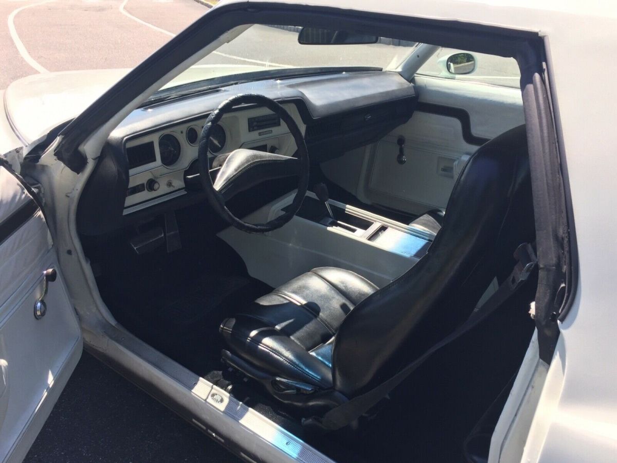 1976 Pontiac Le Mans - photo 8