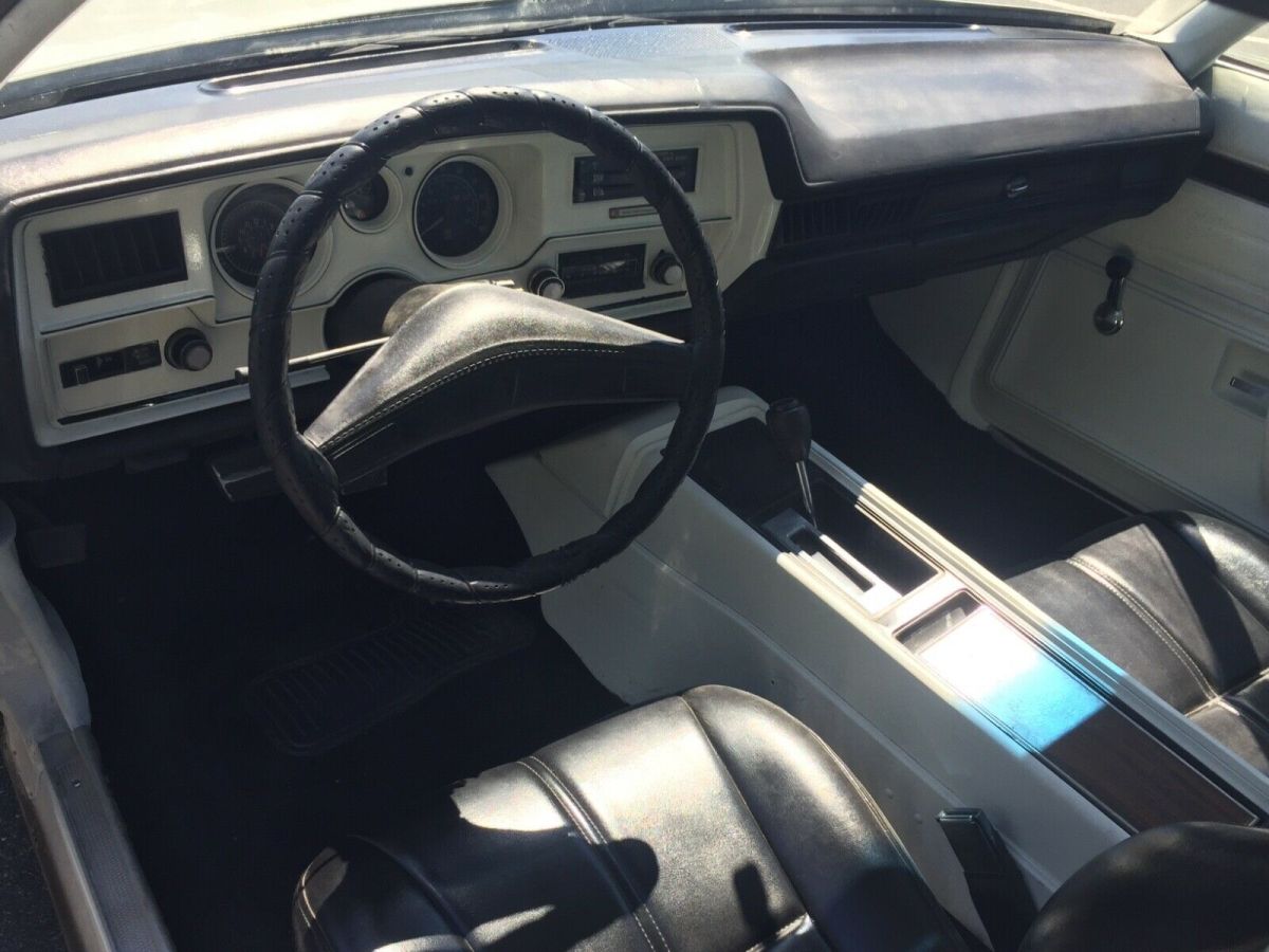 1976 Pontiac Le Mans - photo 9