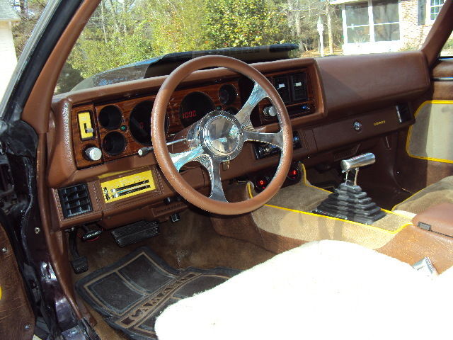 1979 Chevrolet Camaro Custom - photo 10