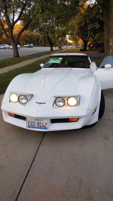 1981 Chevrolet Corvette - photo 8
