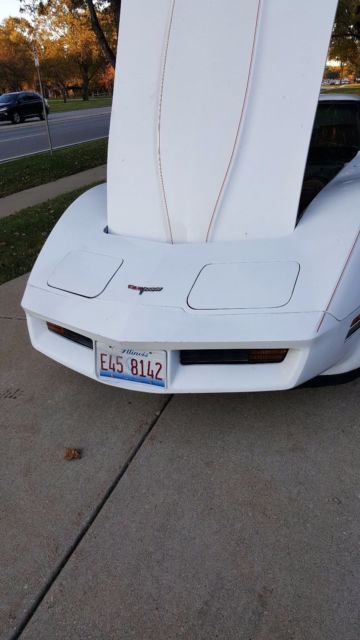1981 Chevrolet Corvette - photo 9