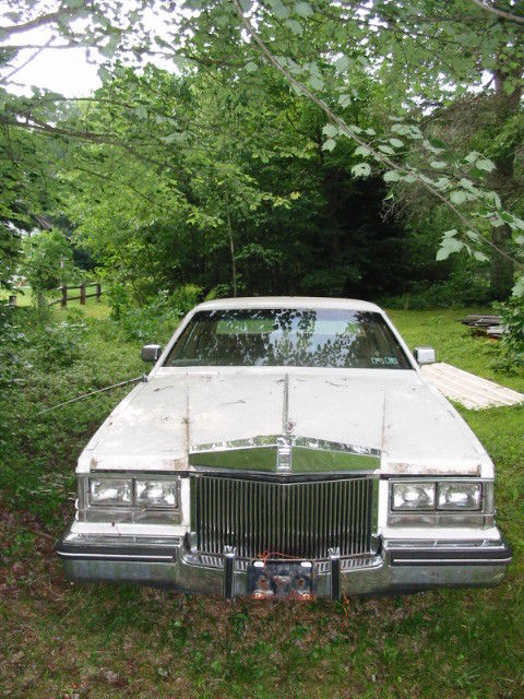 1984 Cadillac Seville Continential Package - photo 5