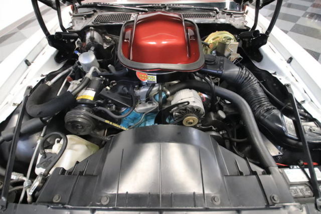 1978 Pontiac Firebird Trans Am DKM Macho - photo 4