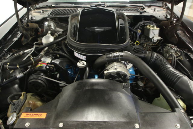 1979 Pontiac Trans Am - photo 3