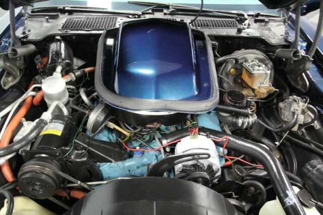 1979 Pontiac Firebird Trans Am - photo 4