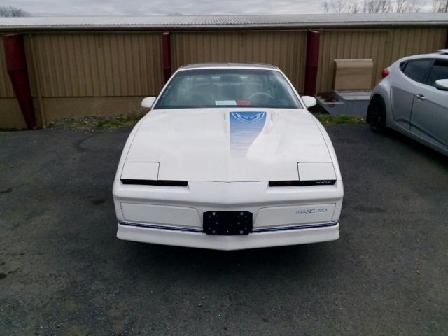 1984 Pontiac Trans Am 15th Anniversary - photo 2