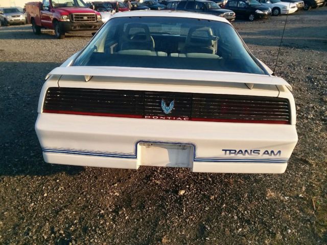 1984 Pontiac Trans Am 15th Anniversary - photo 4