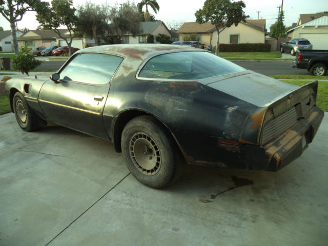 1981 Pontiac Trans Am - photo 10