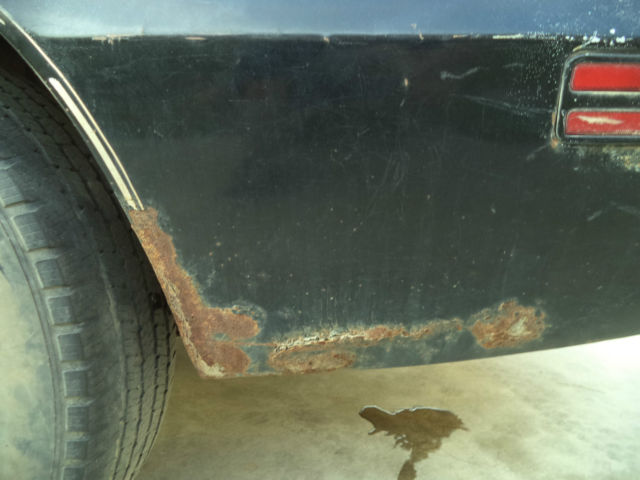 1981 Pontiac Trans Am - photo 11