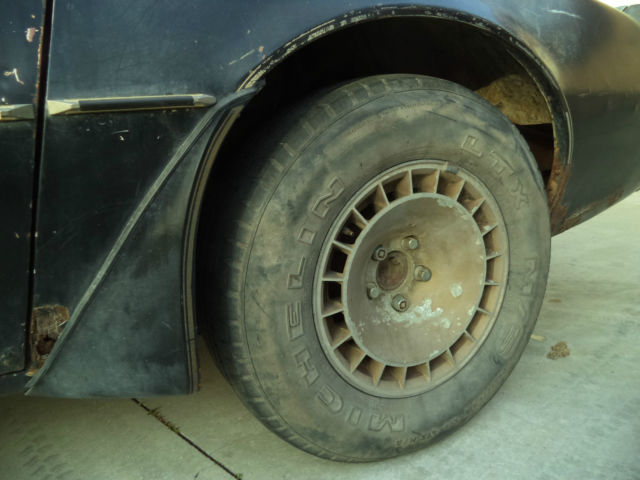 1981 Pontiac Trans Am - photo 12