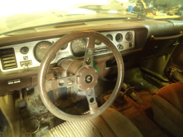 1981 Pontiac Trans Am - photo 13