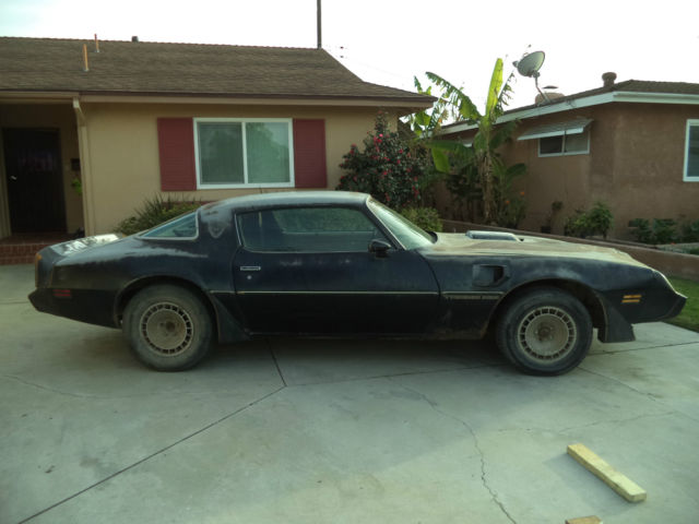 1981 Pontiac Trans Am - photo 6