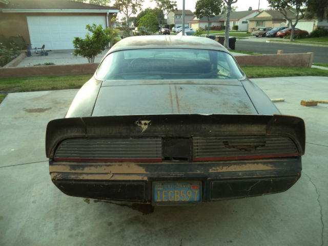 1981 Pontiac Trans Am - photo 8