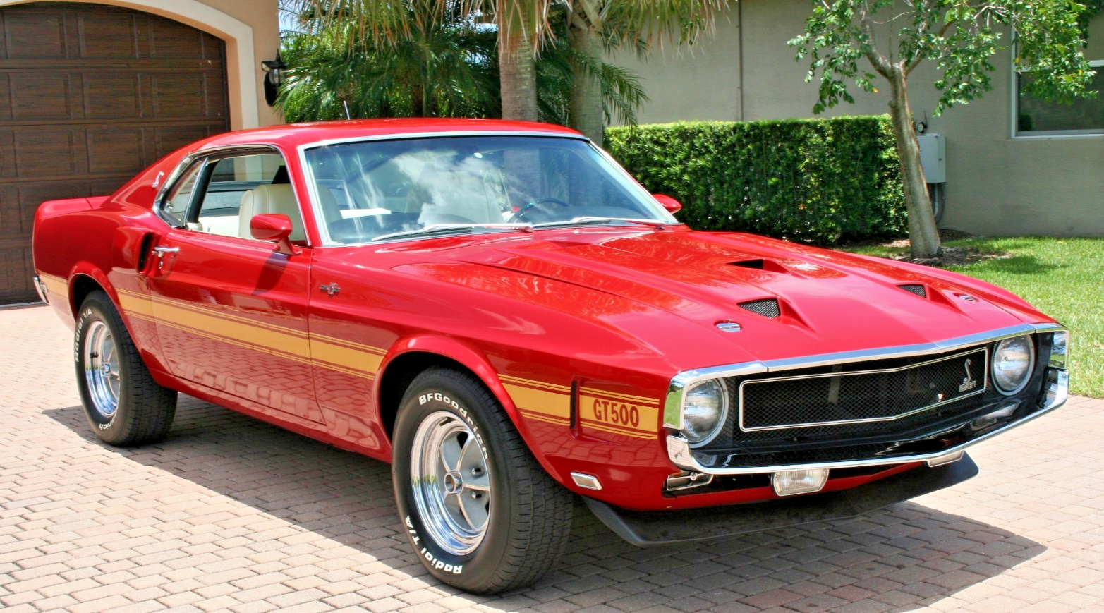 1969 Shelby Mustang Shelby Mustang GT500 Ram Air Cobra Jet Engine 428 - photo 7
