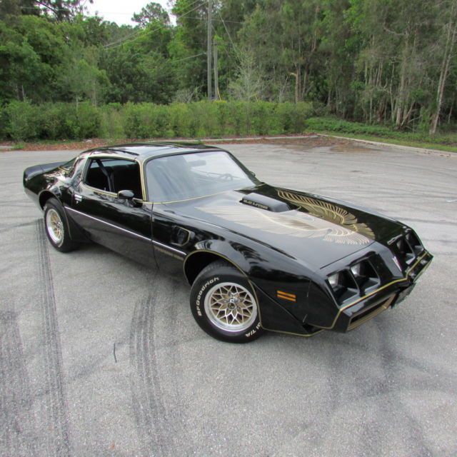 1981 Pontiac Trans Am PONTIAC FIREBIRD TRANS AM SPECIAL EDITION BANDIT