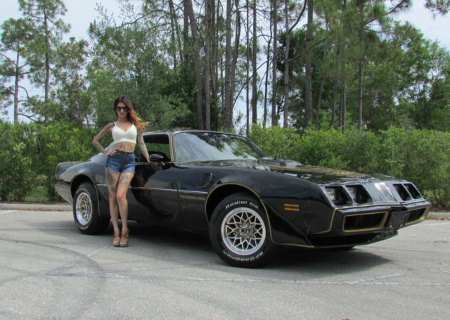 1981 Pontiac Trans Am PONTIAC FIREBIRD TRANS AM SPECIAL EDITION BANDIT - photo 3