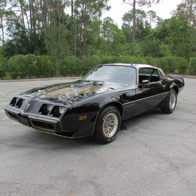 1981 Pontiac Trans Am PONTIAC FIREBIRD TRANS AM SPECIAL EDITION BANDIT - photo 4