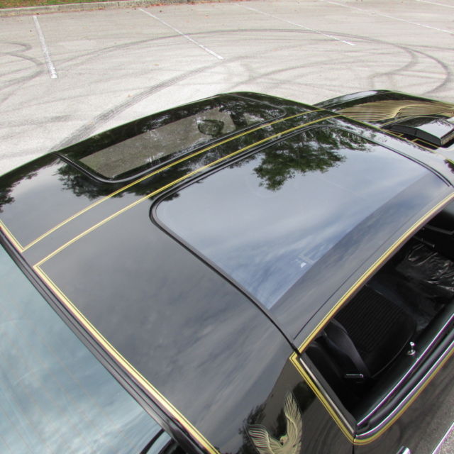 1981 Pontiac Trans Am PONTIAC FIREBIRD TRANS AM SPECIAL EDITION BANDIT - photo 6