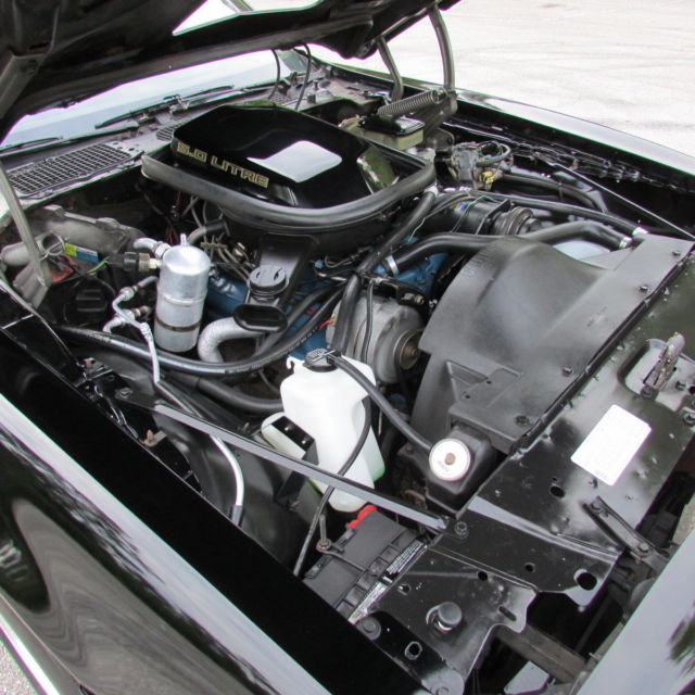 1981 Pontiac Trans Am PONTIAC FIREBIRD TRANS AM SPECIAL EDITION BANDIT - photo 7