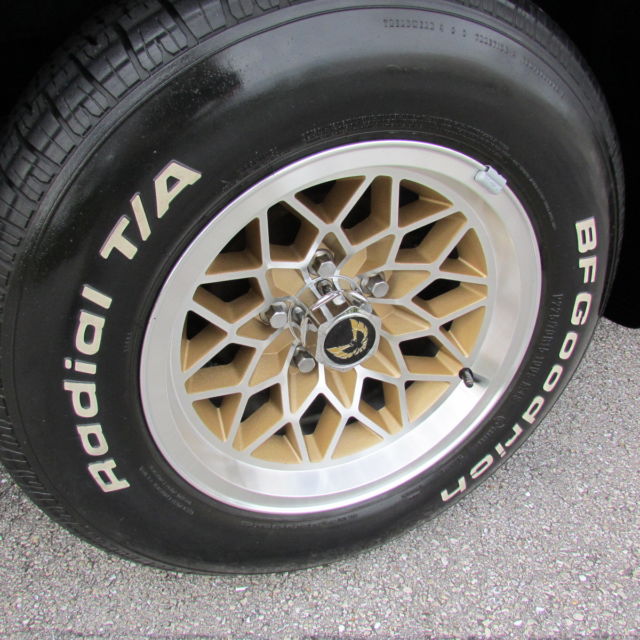1981 Pontiac Trans Am PONTIAC FIREBIRD TRANS AM SPECIAL EDITION BANDIT - photo 9