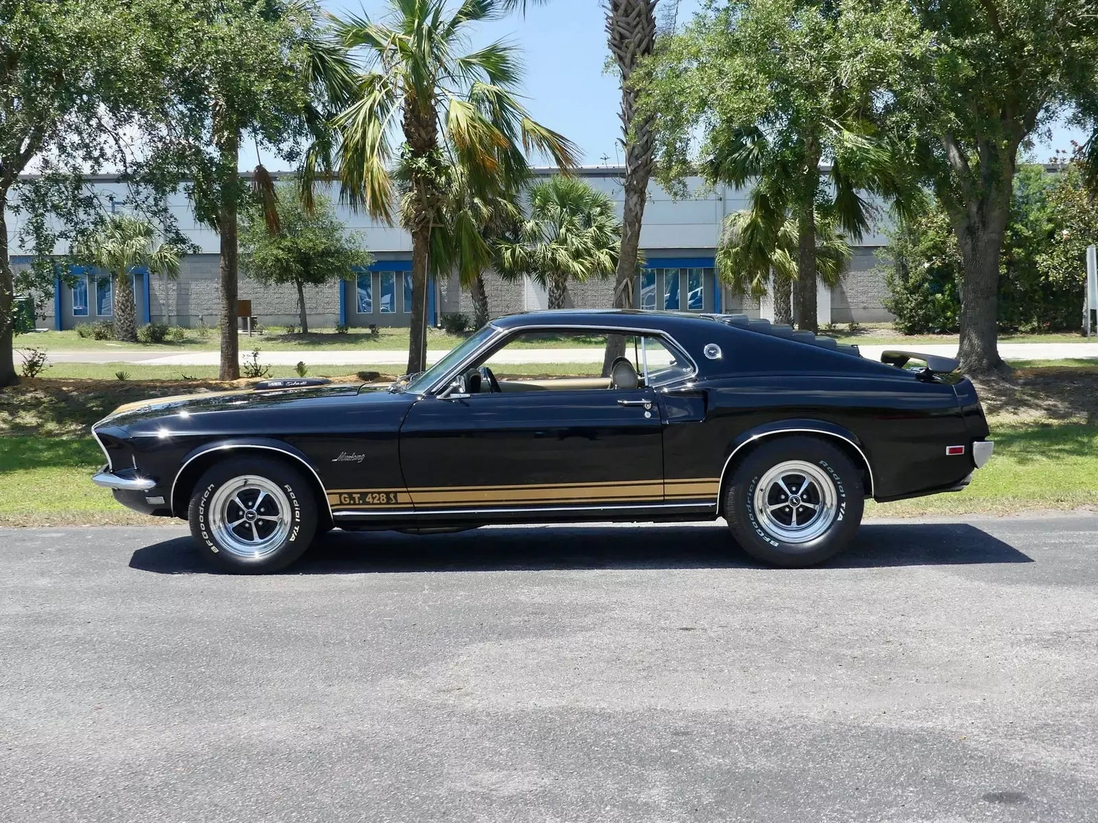 1969 Ford Mustang Sportsroof R-Code 428 Cobra Jet - photo 10