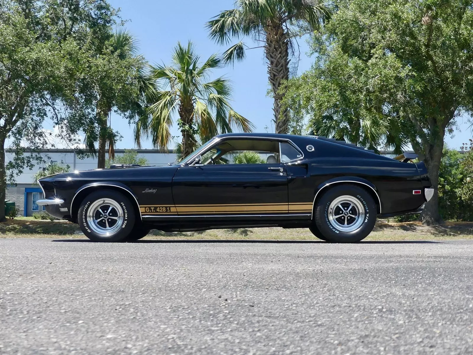 1969 Ford Mustang Sportsroof R-Code 428 Cobra Jet - photo 12