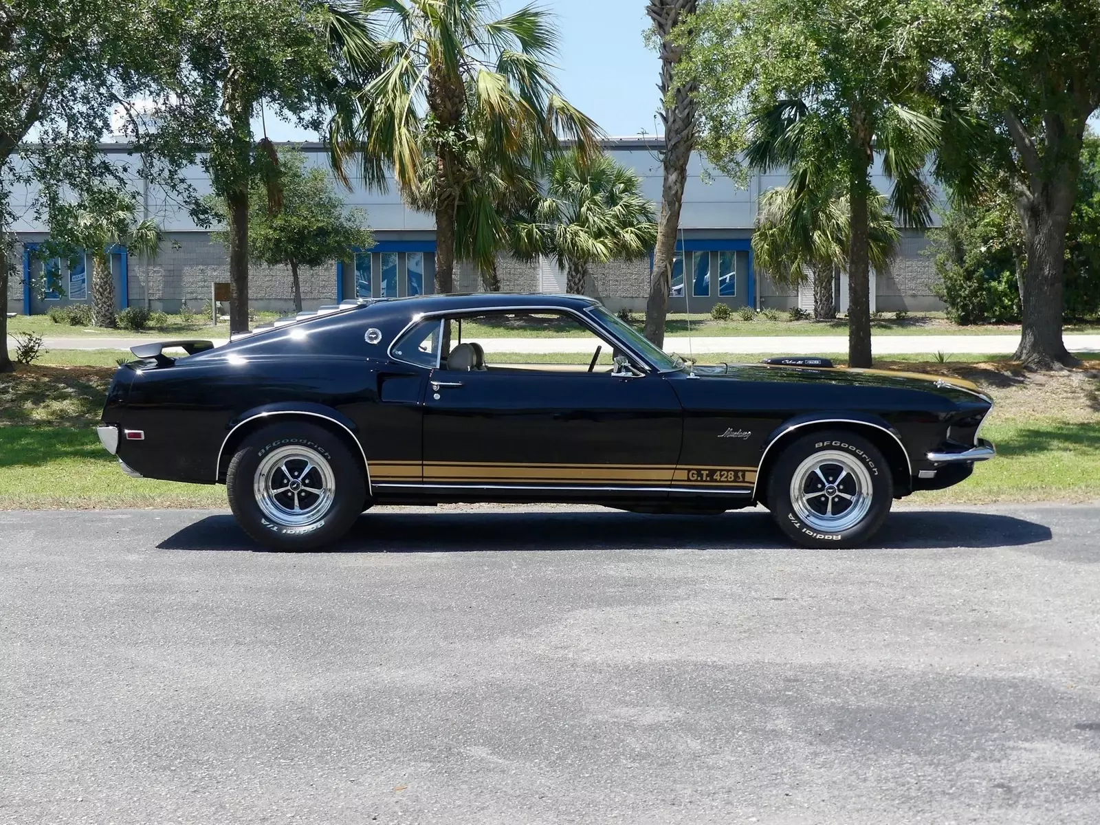 1969 Ford Mustang Sportsroof R-Code 428 Cobra Jet - photo 3