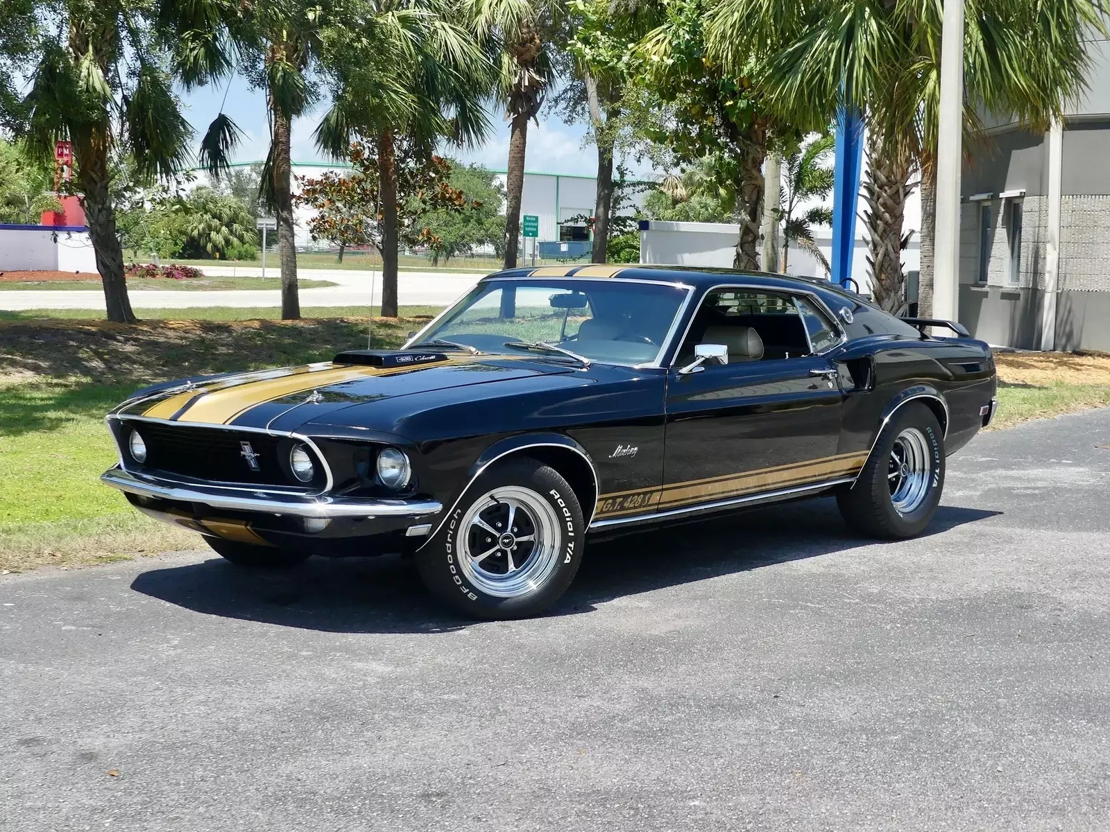 1969 Ford Mustang Sportsroof R-Code 428 Cobra Jet - photo 7