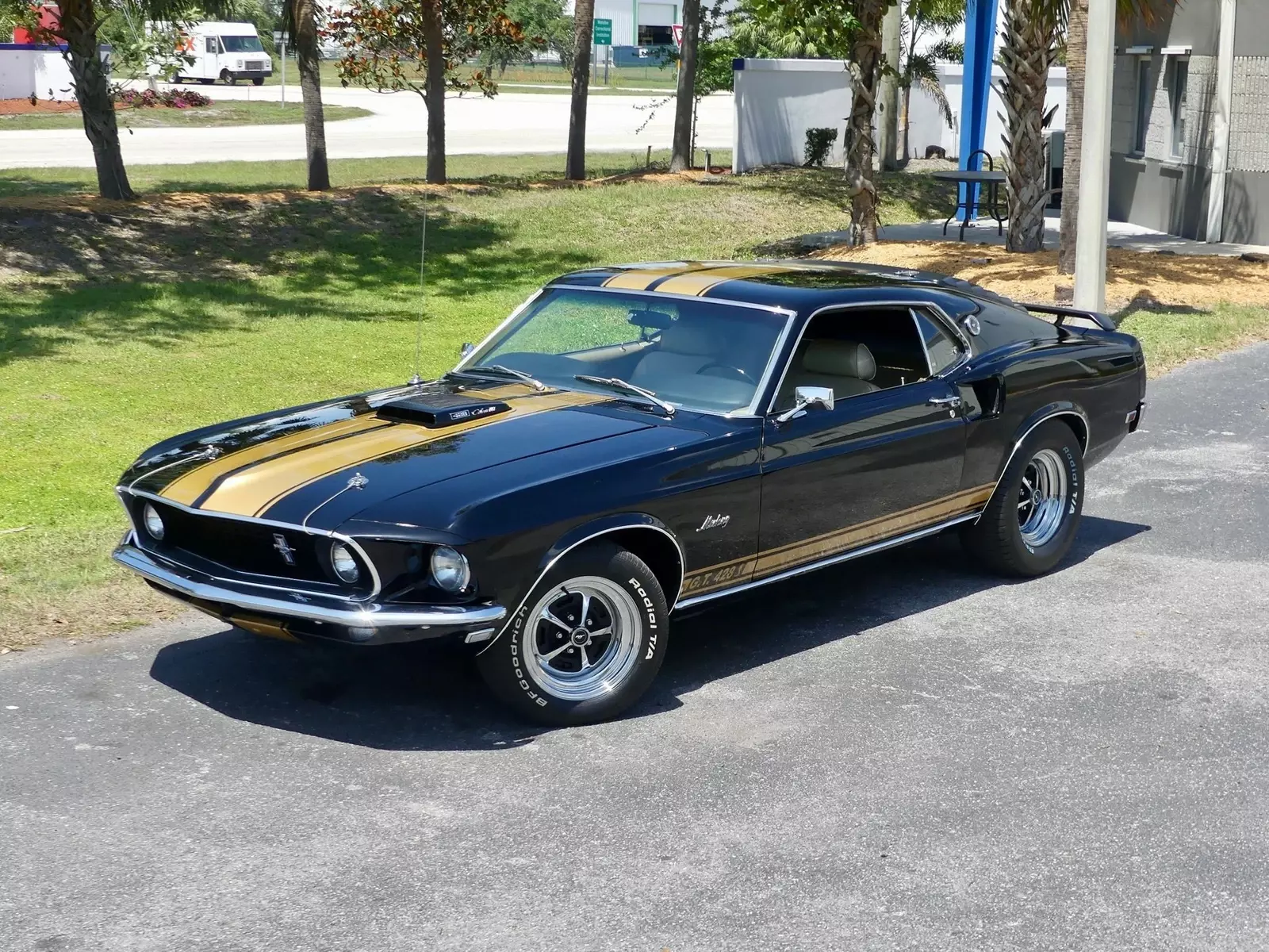 1969 Ford Mustang Sportsroof R-Code 428 Cobra Jet - photo 8