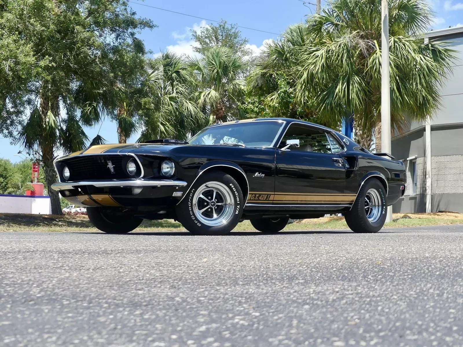 1969 Ford Mustang Sportsroof R-Code 428 Cobra Jet - photo 9