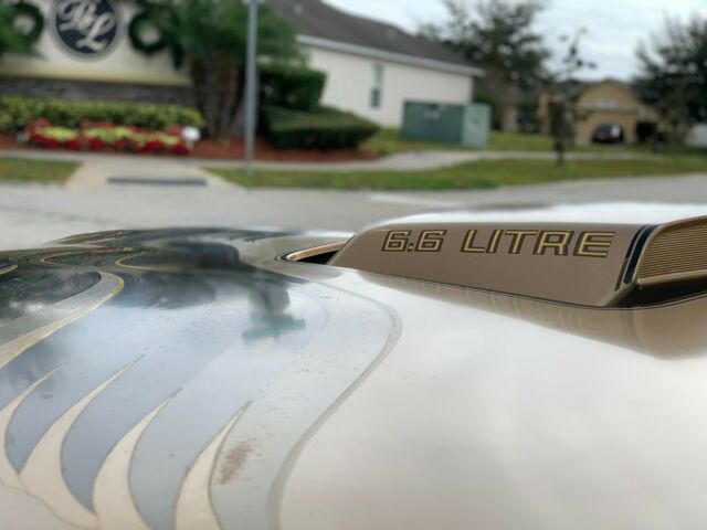 1979 Pontiac Trans Am "NO RESERVE" VIDEO WELL DOCUMENTED - photo 13