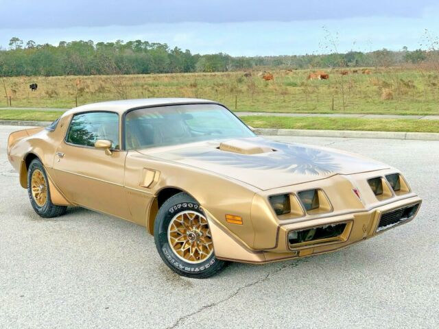 1979 Pontiac Trans Am "NO RESERVE" VIDEO WELL DOCUMENTED - photo 2
