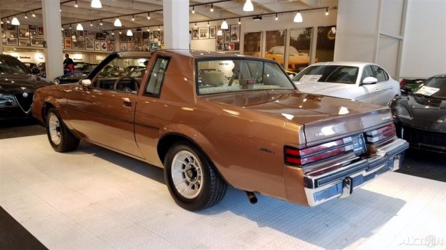 1987 Buick Regal Grand National Turbo - photo 12