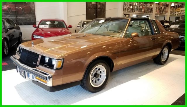 1987 Buick Regal Grand National Turbo - photo 2